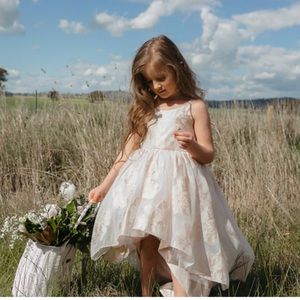 Kadime Kids hi/lo Blush Dress Sz 4 flower girl